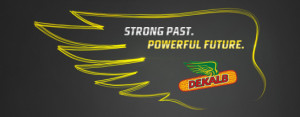 dekalb-banner